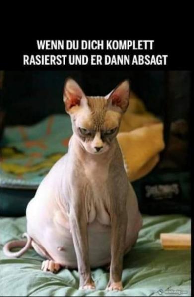 Bild zu Ist ja nach 22 Uhr.... - Baby Forum - Allgemeine Themen