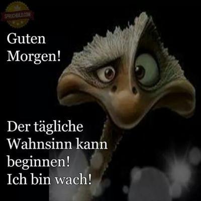 Bild zu Guten Morgen - Baby Forum - Allgemeine Themen