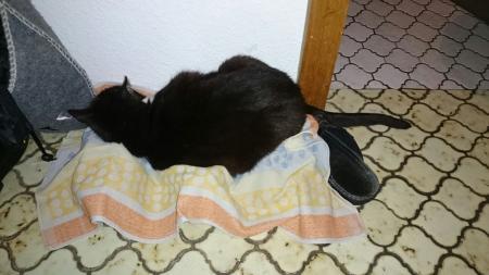 Bild zu
