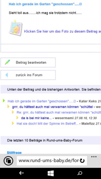 Bild zu 