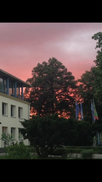 Bild zu 