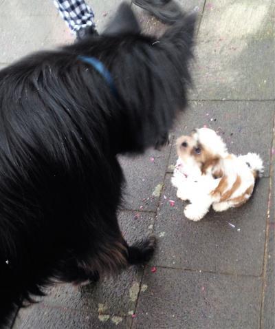Bild zu Familienzuwachs :-) - Baby Forum - Allgemeine Themen