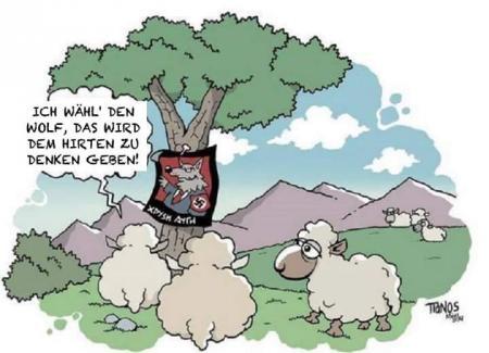 Bild zu 