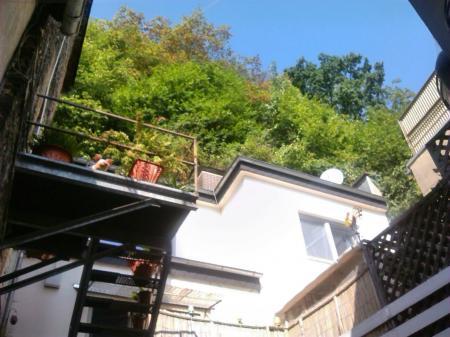 Bild zu 