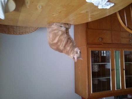 Bild zu 
