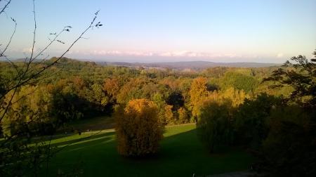 Bild zu 