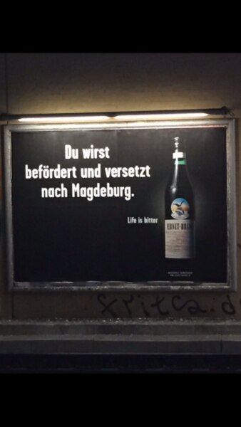 Bild zu Habt ihr schon die neuen Werbeplakate von Fernet Branca gesehen?! 😂 - Baby Forum - Allgemeine Themen