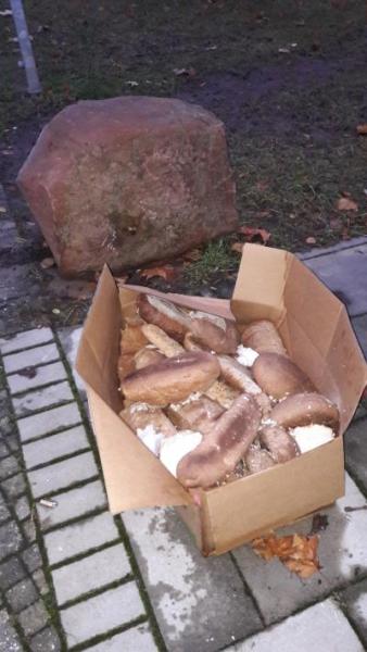 Bild zu Ich bin entsetzt,- das wird hier mitten im Dorf weggeworfen ;( - Baby Forum - Allgemeine Themen