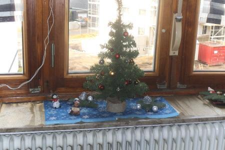 Bild zu 