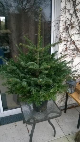 Bild zu 