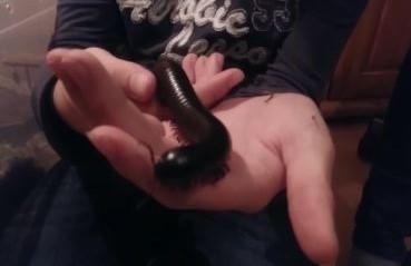 Bild zu schaut mal... - Baby Forum - Allgemeine Themen