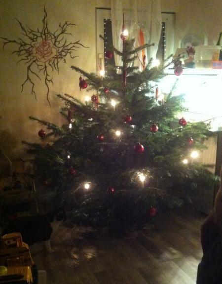 Bild zu Unser Baum ist auch soweit - Baby Forum - Allgemeine Themen