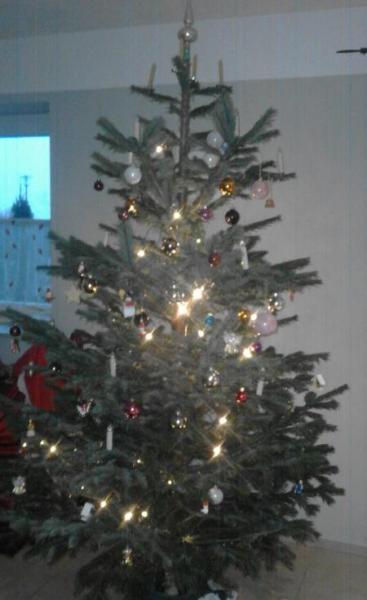 Bild zu Unser Baum.... - Baby Forum - Allgemeine Themen