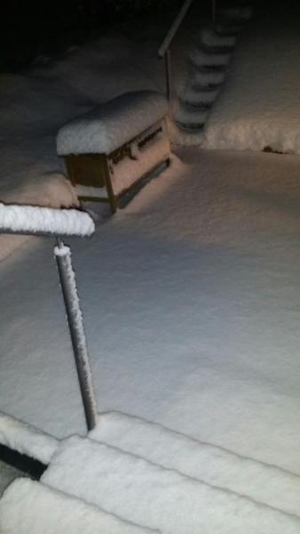 Bild zu Schnee... - Baby Forum - Allgemeine Themen
