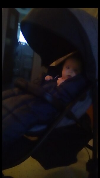 Bild zu 5 monate buggy?! - Baby Forum - Allgemeine Themen