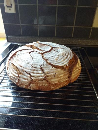 Bild zu Selbstgebackenes Brot - Baby Forum - Allgemeine Themen