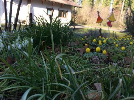 Bild zu 