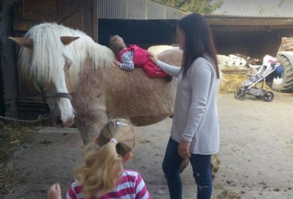 Bild zu Babyschmusereiten :-) - Baby Forum - Allgemeine Themen