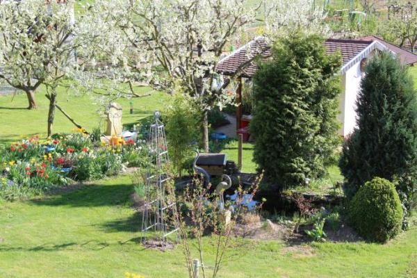 Bild zu 