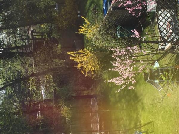 Bild zu 