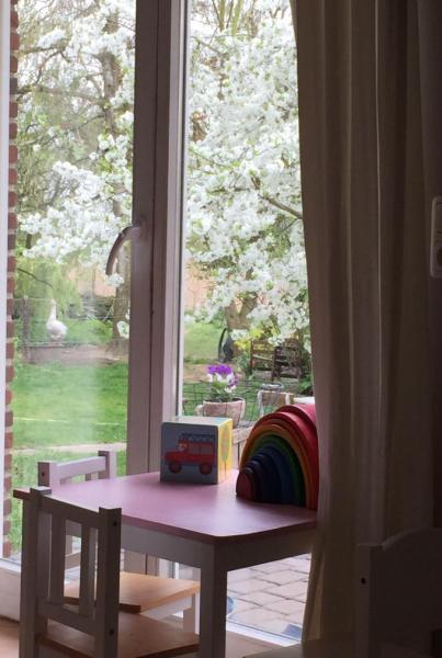 Bild zu Frühling! - Baby Forum - Allgemeine Themen