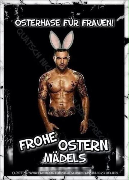 Bild zu Frohe Ostern Lady's - Baby Forum - Allgemeine Themen