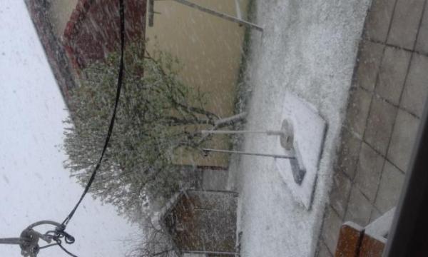 Bild zu 