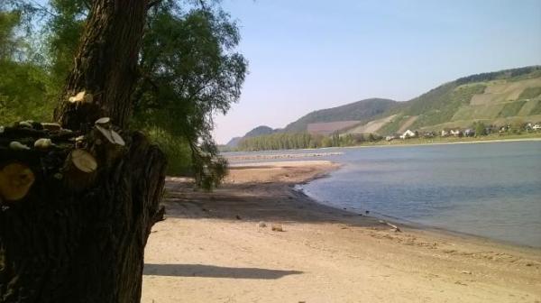 Bild zu 