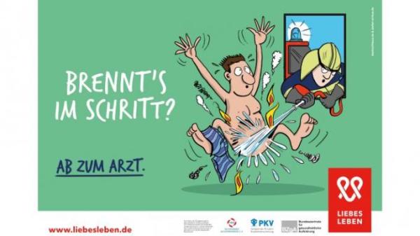 Bild zu