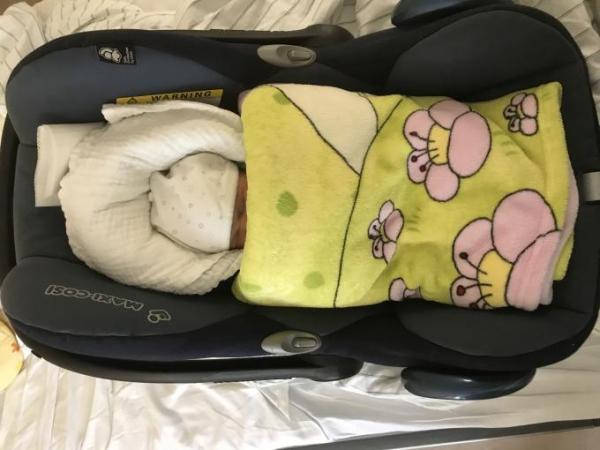 Bild zu Darf ich vorstellen.... - Baby Forum - Allgemeine Themen