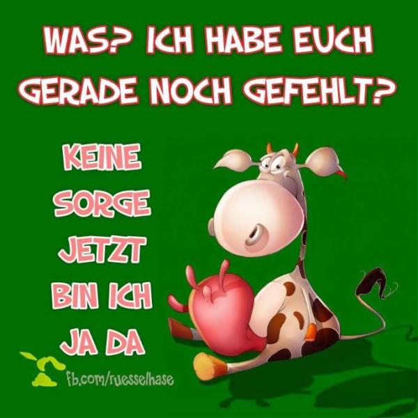 Bild zu .... - Baby Forum - Allgemeine Themen