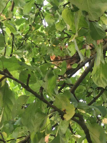 Bild zu Na wie schön das wir einen Garten zum Klettern haben..... - Baby Forum - Allgemeine Themen