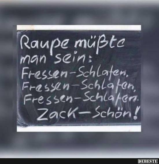 Bild zu Was zum Lachen! - Baby Forum - Allgemeine Themen