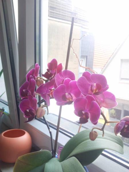 Bild zu Och schön! 🤗 - Baby Forum - Allgemeine Themen