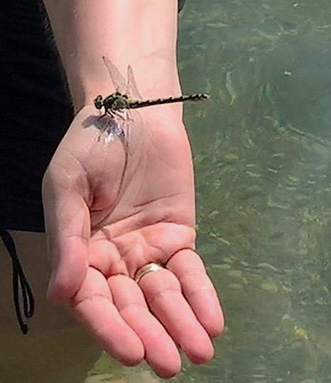 Bild zu Ich liebe Freibäder mit Naturwasser - Baby Forum - Allgemeine Themen