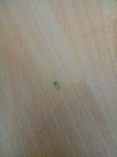 Bild zu 
