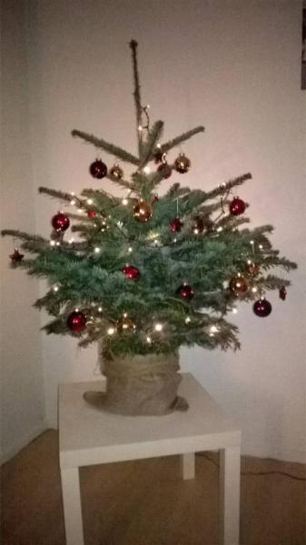 Bild zu