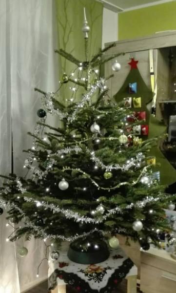 Bild zu