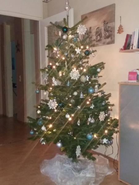 Bild zu