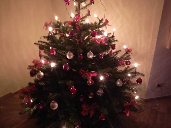 Bild zu