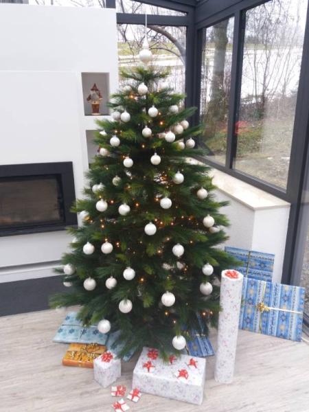 Bild zu