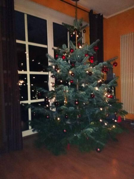 Bild zu