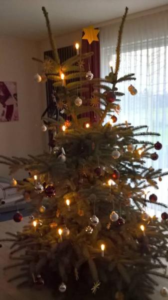 Bild zu