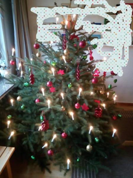 Bild zu