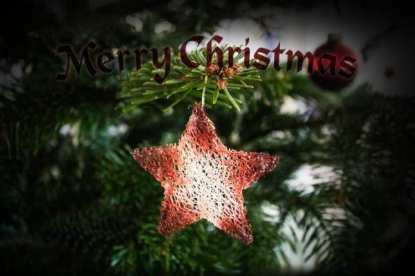 Bild zu Weihnachten ist gerettet! - Baby Forum - Allgemeine Themen