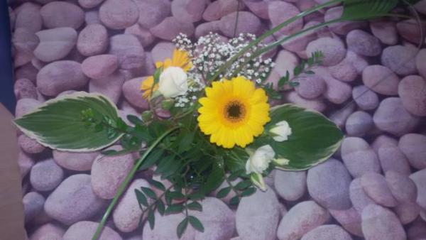 Bild zu 