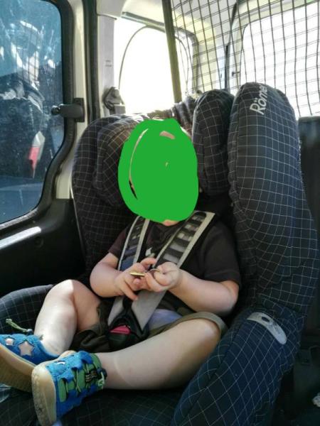 Bild zu 