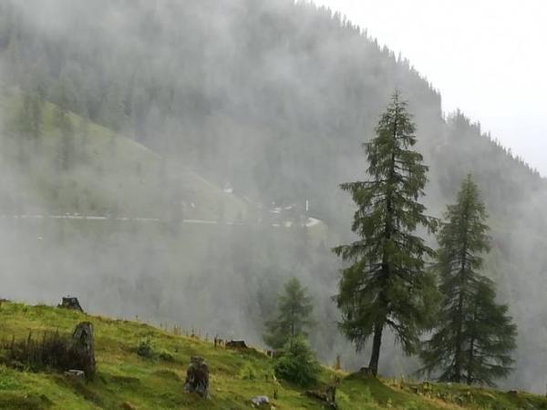 Bild zu Regen - Baby Forum - Allgemeine Themen