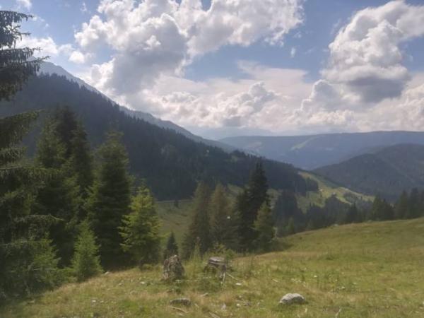 Bild zu Was für ein Panoramablick - Baby Forum - Allgemeine Themen