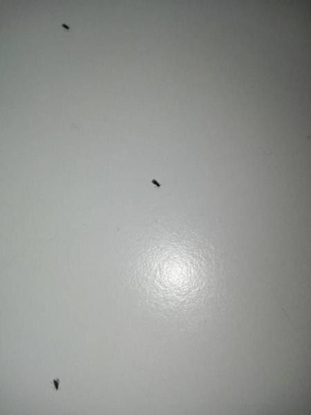 Bild zu Was ist den das? - Baby Forum - Allgemeine Themen